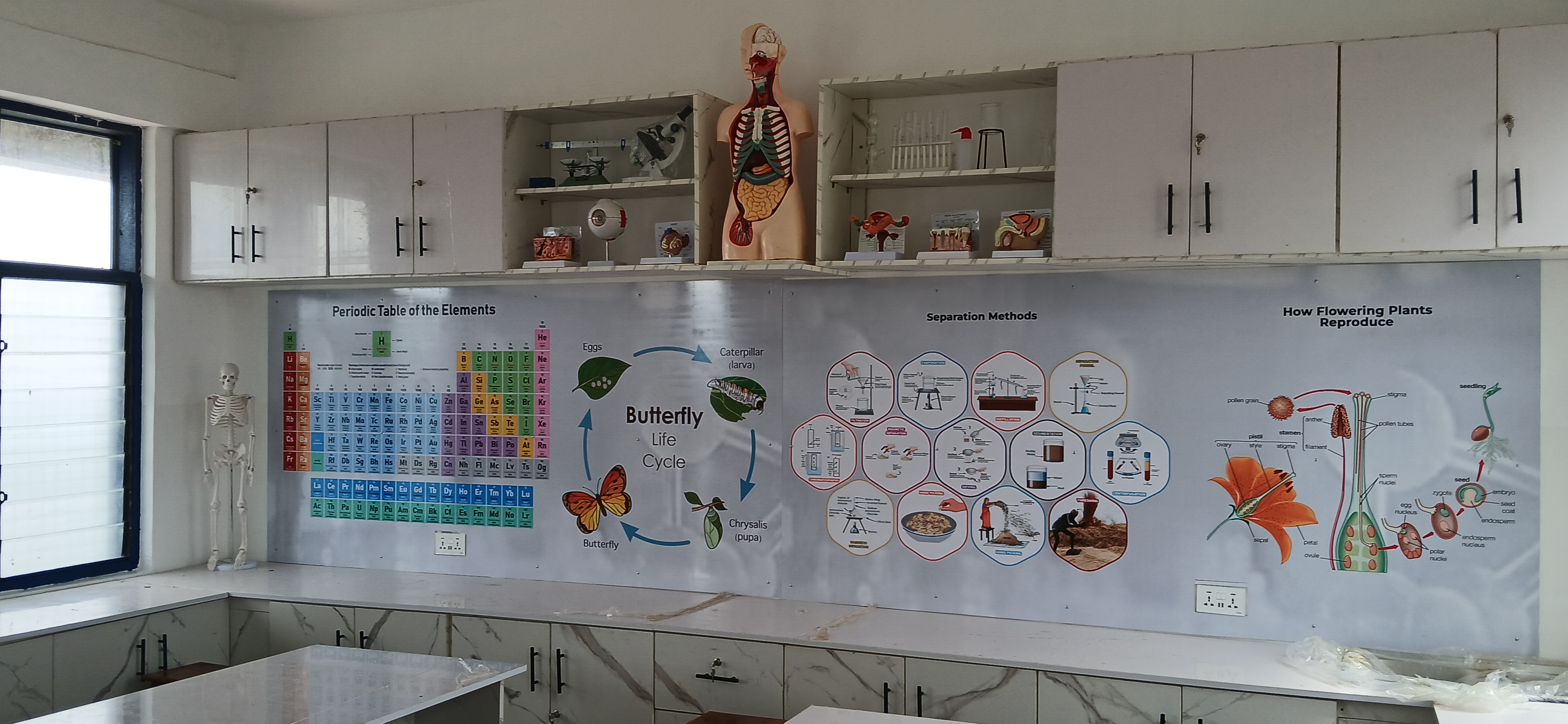 TLG School gallery